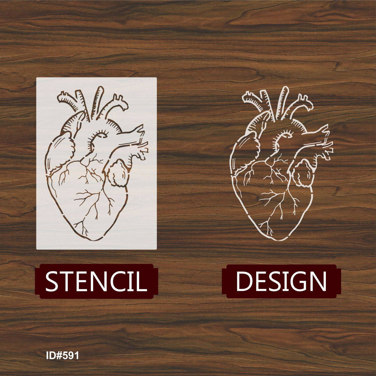 Simple Anatomical Heart Stencil Simple Anatomical Heart Stencil